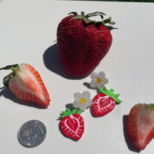 Load image into Gallery viewer, Strawberry Slices
